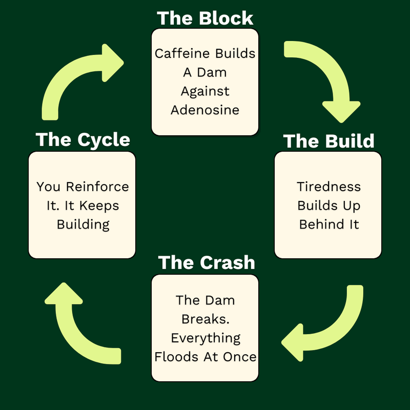 Why You Keep Going Back